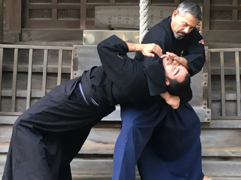 AIKIJUJUTSU-ENFIGUERES-5