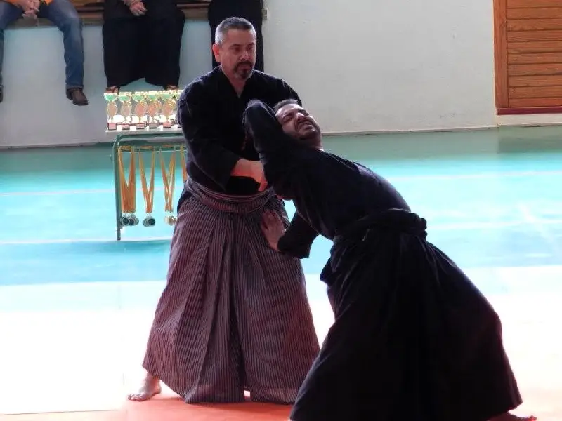 AIKIJUJUTSU-FIGUERES-4